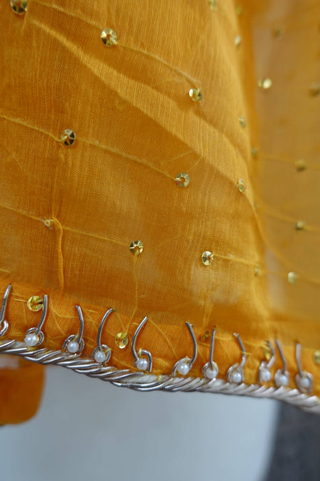 Ochre Vintage Silk Chiffon Dupatta - New