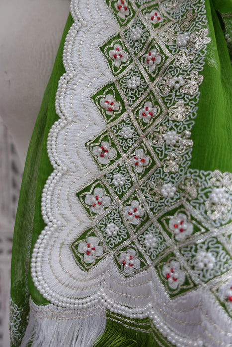 Green Silk Vintage Chiffon With White Beading - New