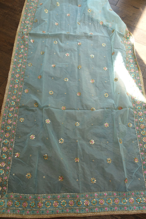 Mint Green Embroidered Voile Dupatta - New