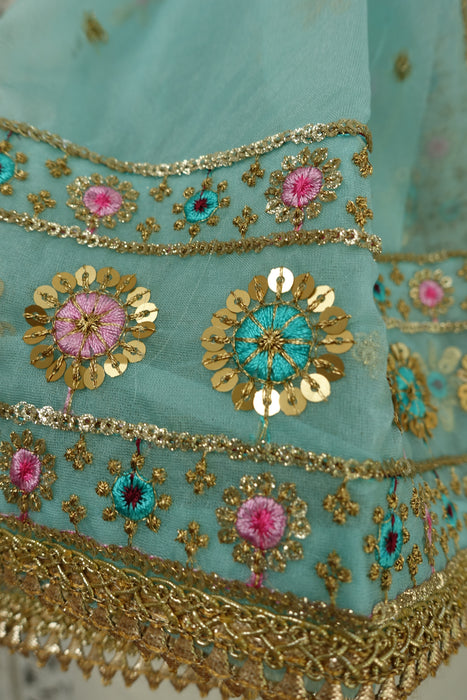 Mint Green Embroidered Voile Dupatta - New