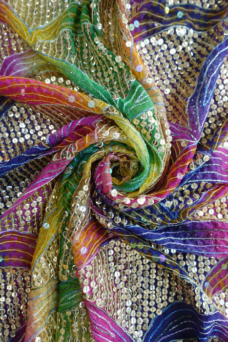 Multicoloured Chiffon Vintage Dupatta - New