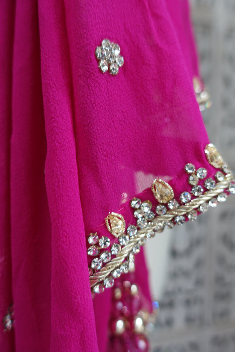 Pink Dupatta With Velvet Trim - Preloved