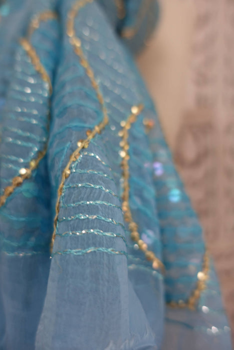 Blue Vintage Chiffon Sequinned Dupatta - New