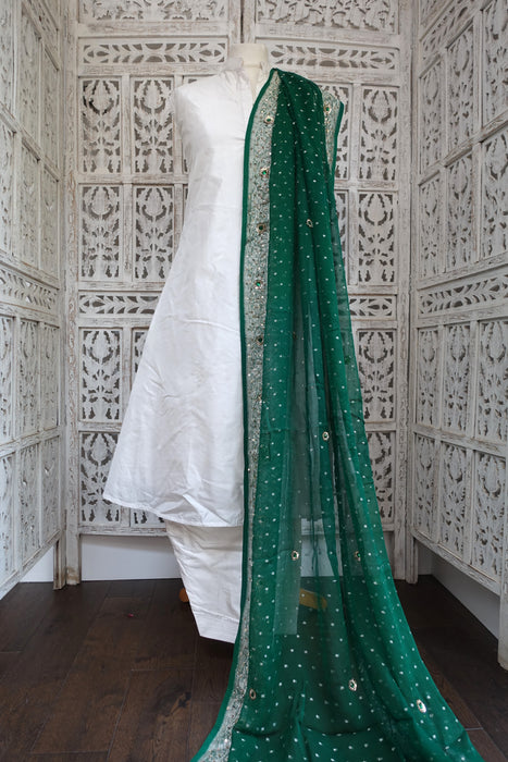 Green Vintage Silk Chiffon Banarsi Dupatta - New