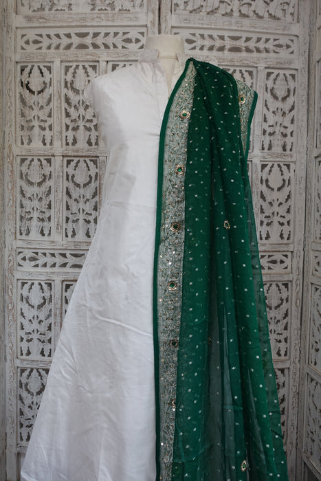 Green Vintage Silk Chiffon Banarsi Dupatta - New