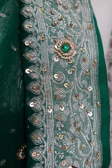 Green Vintage Silk Chiffon Banarsi Dupatta - New