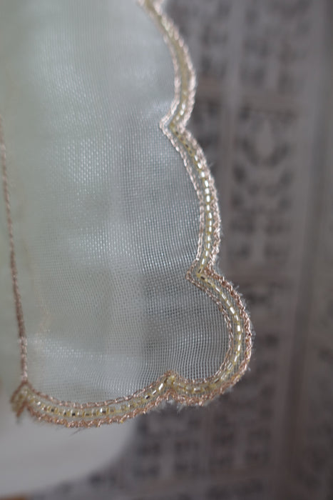 Pale Green Voile Beaded Zig Zag Dupatta - New