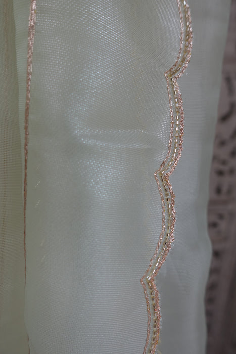 Pale Green Voile Beaded Zig Zag Dupatta - New