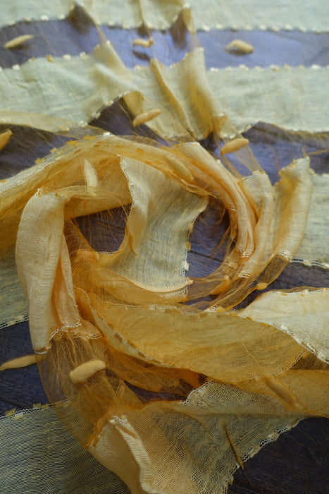 Yellow Silk Voile Scarf Handloom