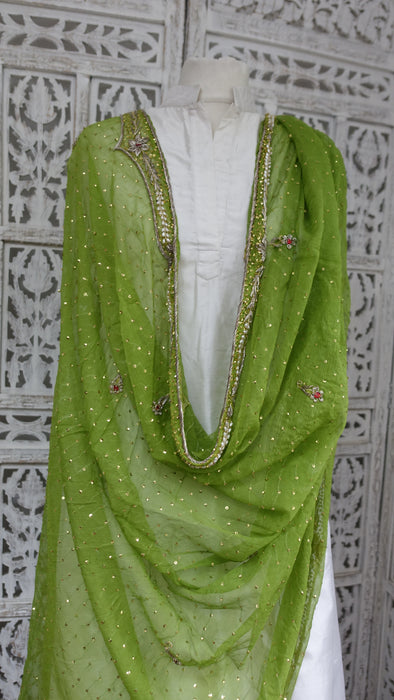 Green Vintage Chiffon Dupatta - Preloved