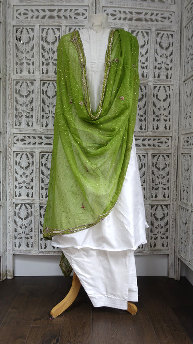 Green Vintage Chiffon Dupatta - Preloved