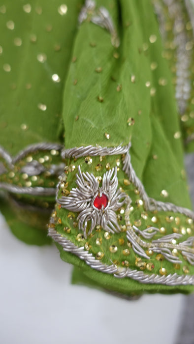 Green Vintage Chiffon Dupatta - Preloved