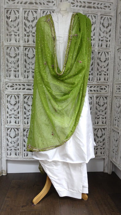 Green Vintage Chiffon Dupatta - Preloved