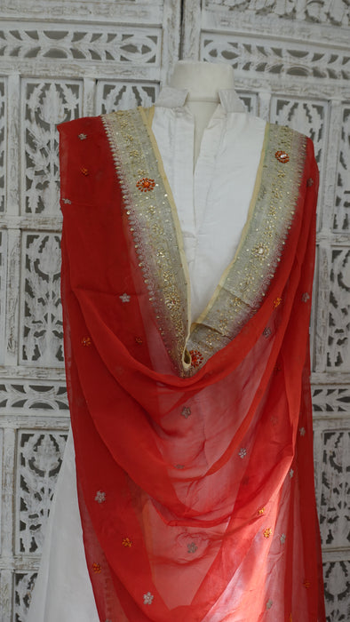 Coral Silk Chiffon Dupatta- New