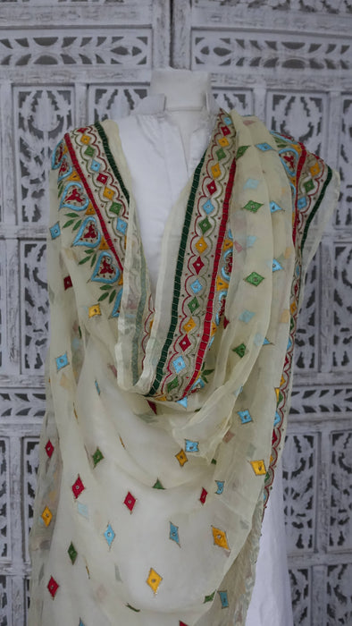 Cream Vintage Retro Chiffon Dupatta With Colourful Embroidery