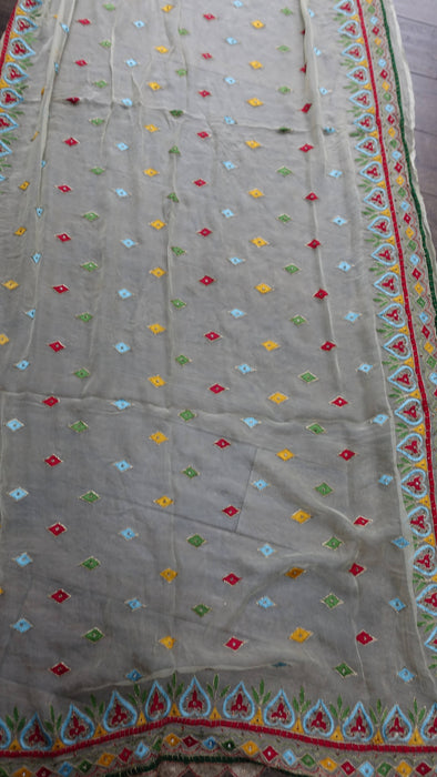 Cream Vintage Retro Chiffon Dupatta With Colourful Embroidery
