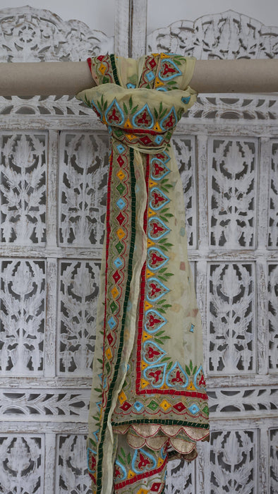 Cream Vintage Retro Chiffon Dupatta With Colourful Embroidery