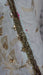 Light green chanderi beaded dupatta – end panel detail