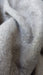 Taupe sequinned wool scarf – border detail