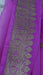 Bright pink silk chiffon banarsi dupatta – border detail