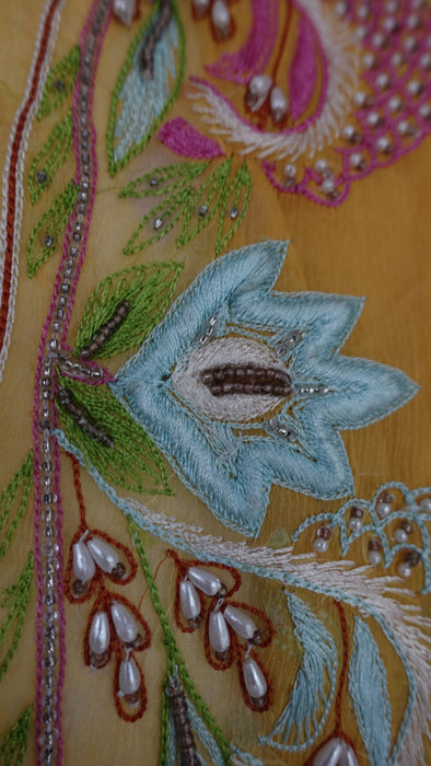 Yellow vintage silk chiffon dupatta with pastel embroidery – full length view