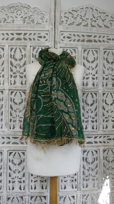 Green vintage silk chiffon embroidered with kiran gota – full length view
