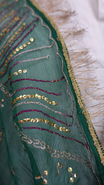 Green vintage silk chiffon embroidered with kiran gota – border detail