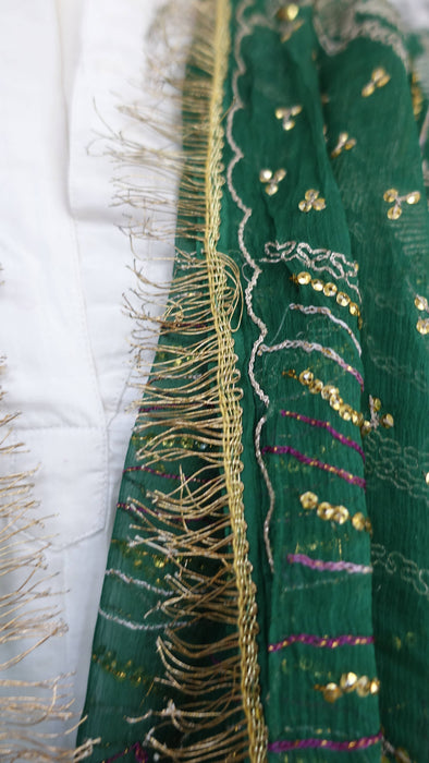Green vintage silk chiffon embroidered with kiran gota – full length view