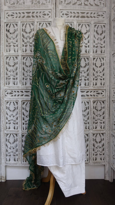 Green vintage silk chiffon embroidered with kiran gota