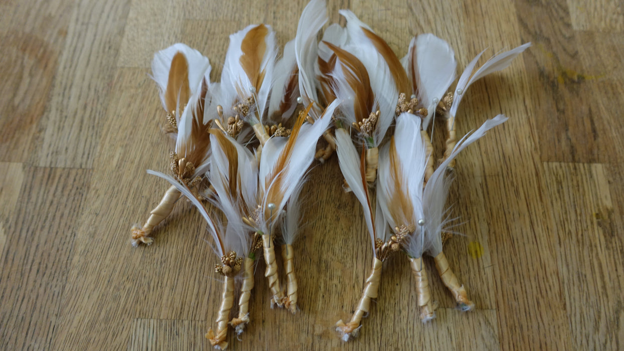 Cream Feather Buttonholes - New
